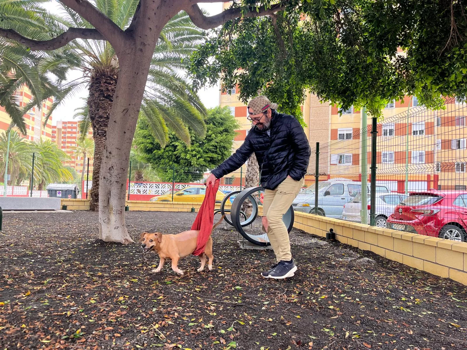 El Ayuntamiento crea un área canina y mejora las infraestructuras verdes de Cruz de Piedra. AYUNTAMIENTO LPA