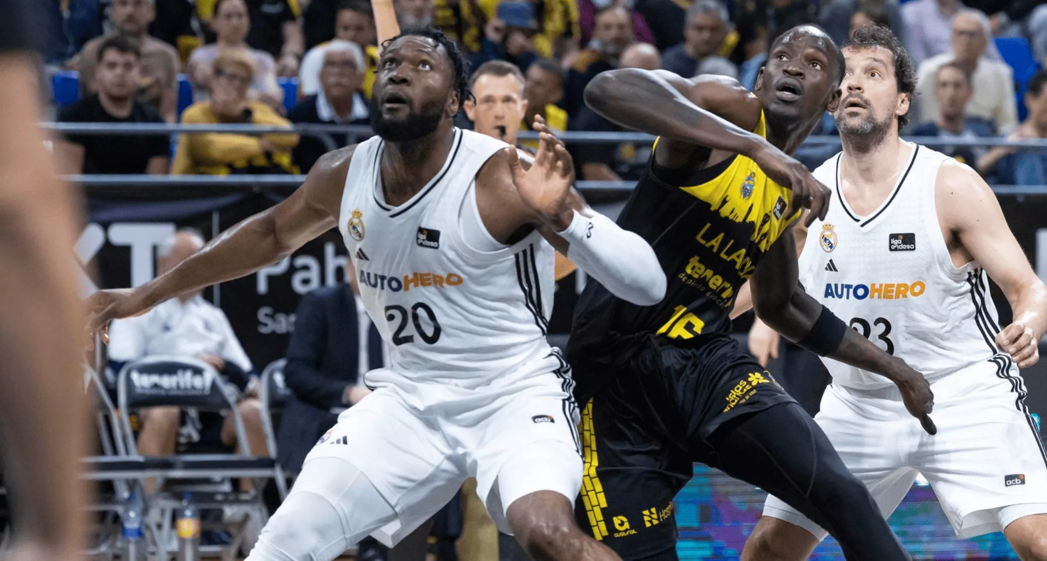 Ibou Badji, en un partido del CB Canarias contra el Real Madrid, carga el rebote. / EFE