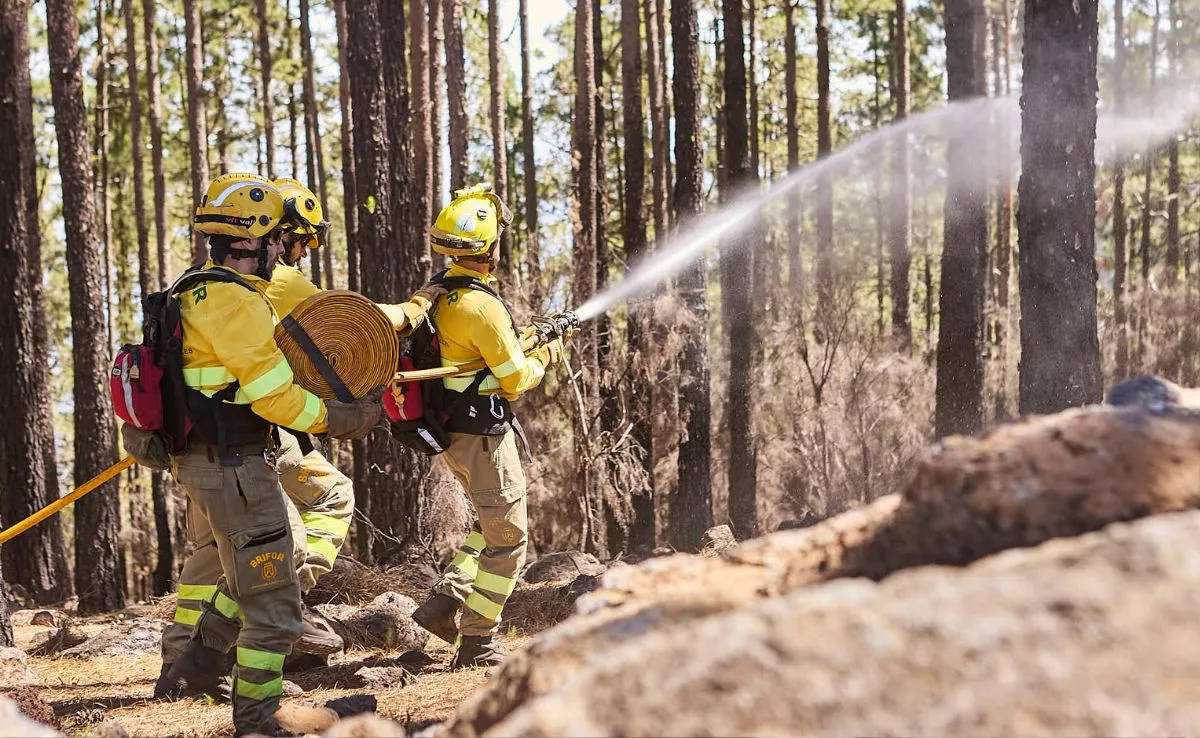 Bomberos de Tenerife durante un incendio forestal|CABILDODETENERIFE
