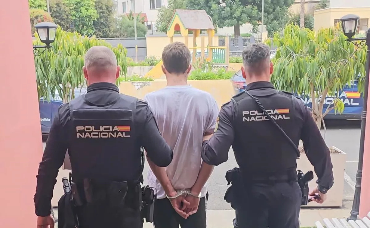 Detención de una persona por robo con violencia en Puerto de la Cruz. / POLICÍA NACIONAL