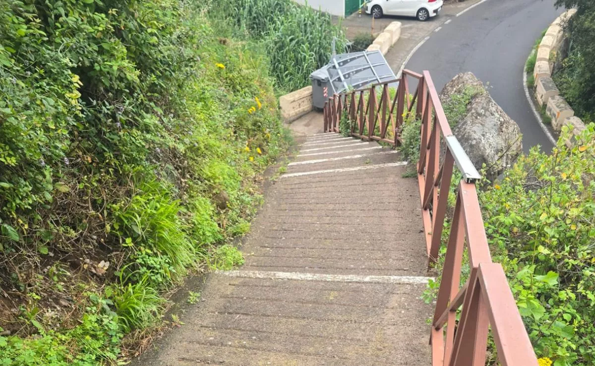 Camino de la zona de la Fajaneta hasta la carretera|CEDIDA