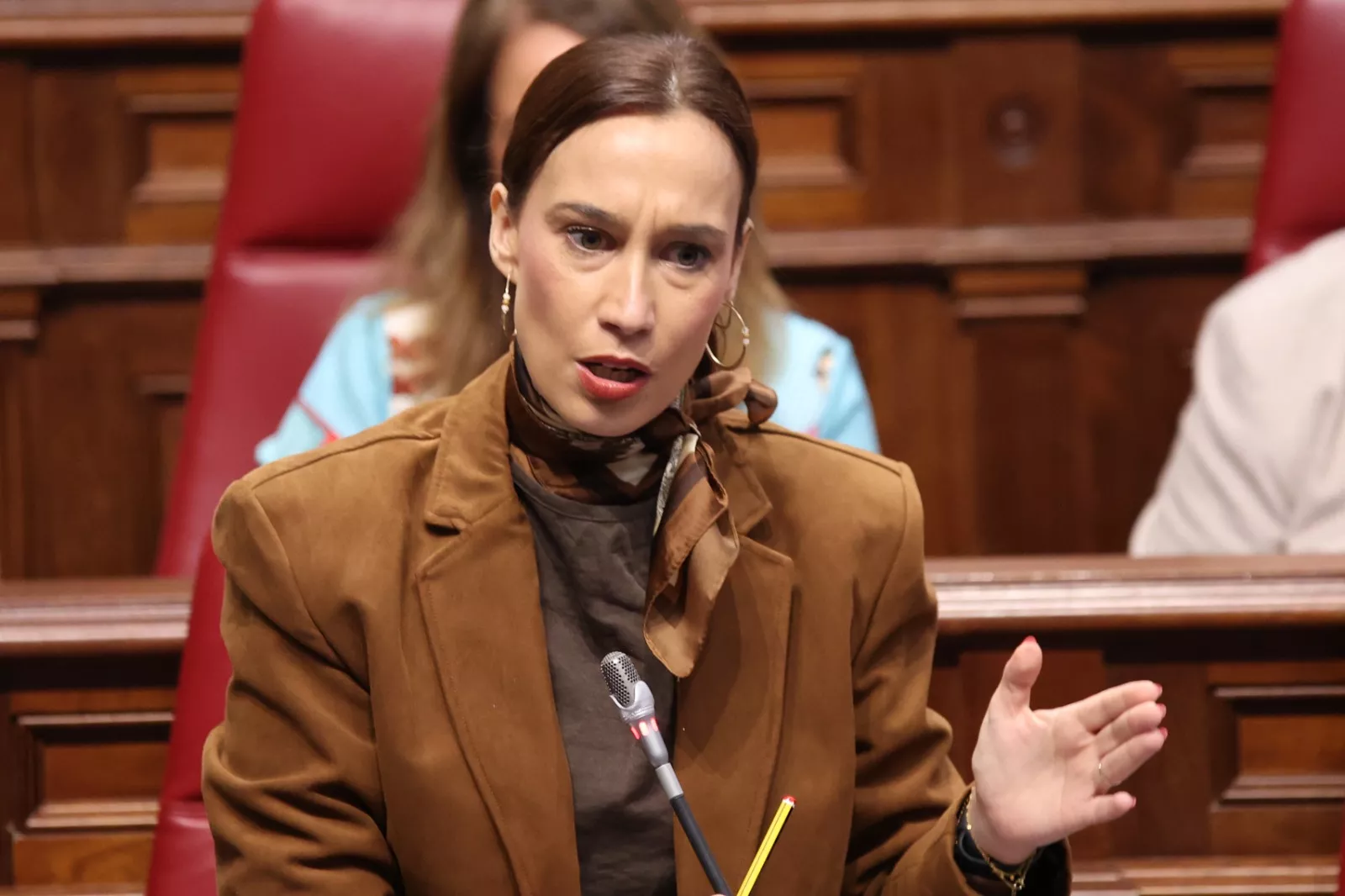 La presidenta del Grupo Parlamentario Socialista, Nira Fierro. / CEDIDA