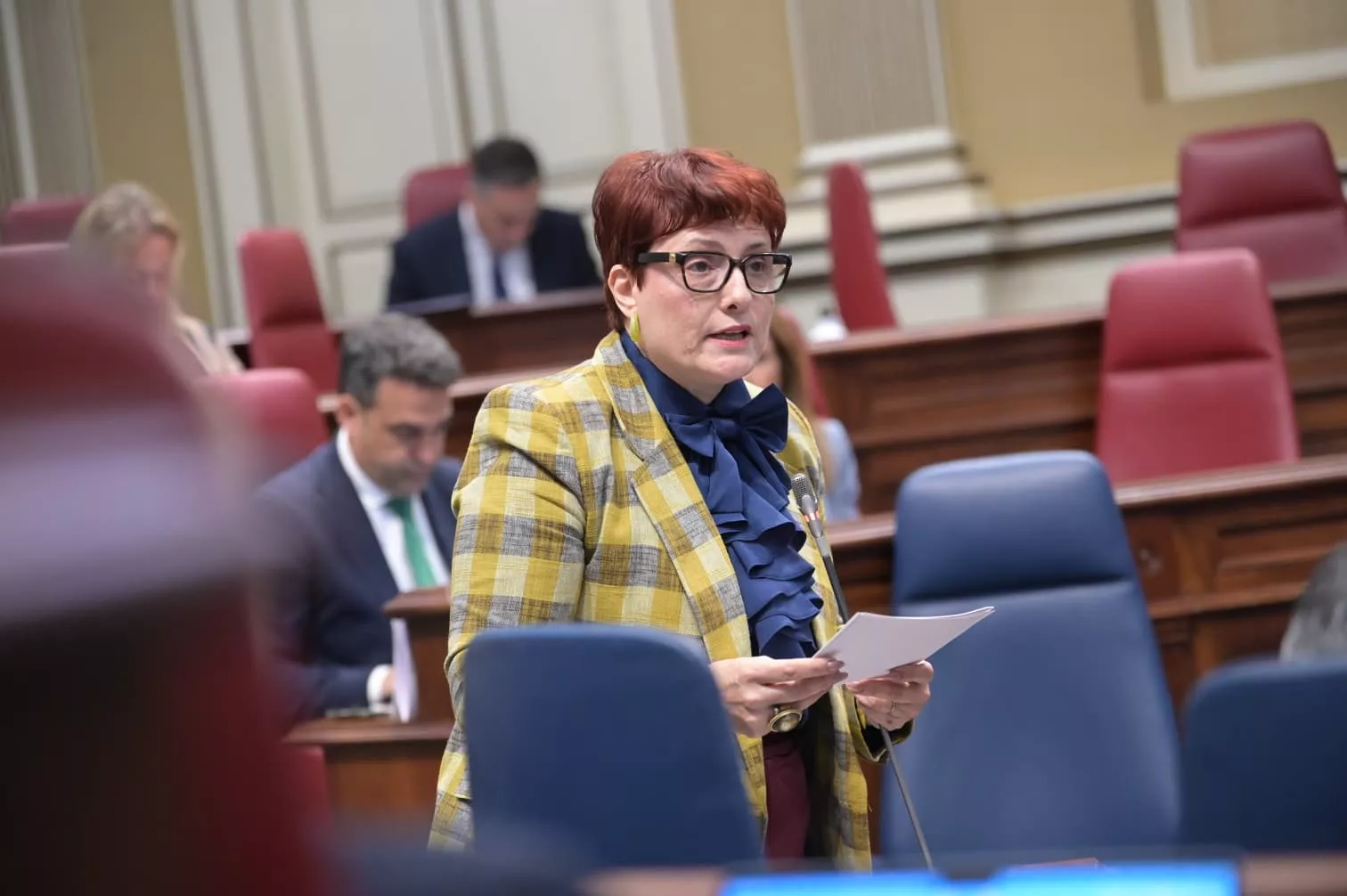 La consejera de Bienestar Social, Candelaria Delgado. AH