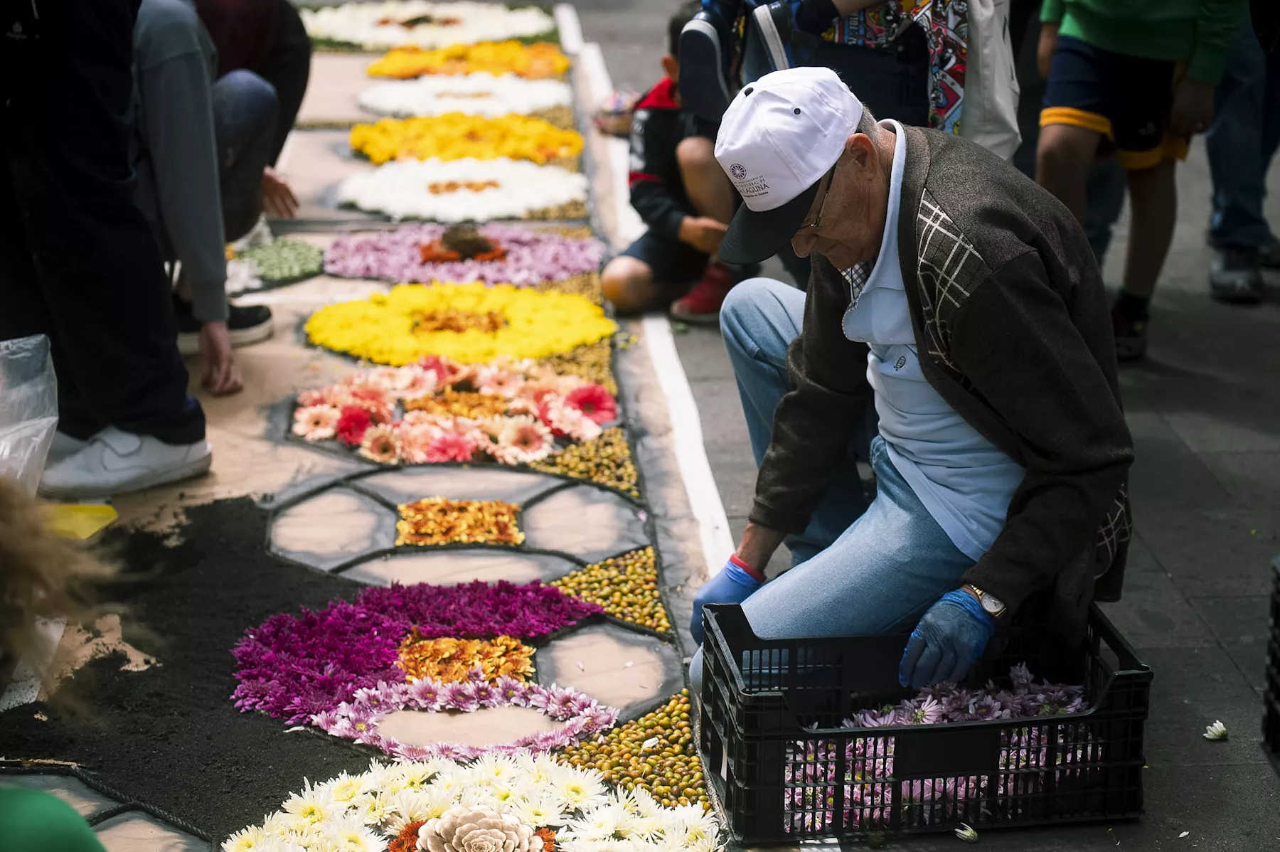 Confección de alfombras del Corpus Christi de La Laguna. AYUNTAMIENTO