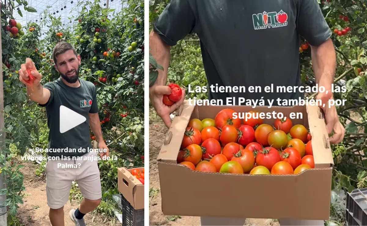 Momentos del vídeo de Nito el agricultor / REDES