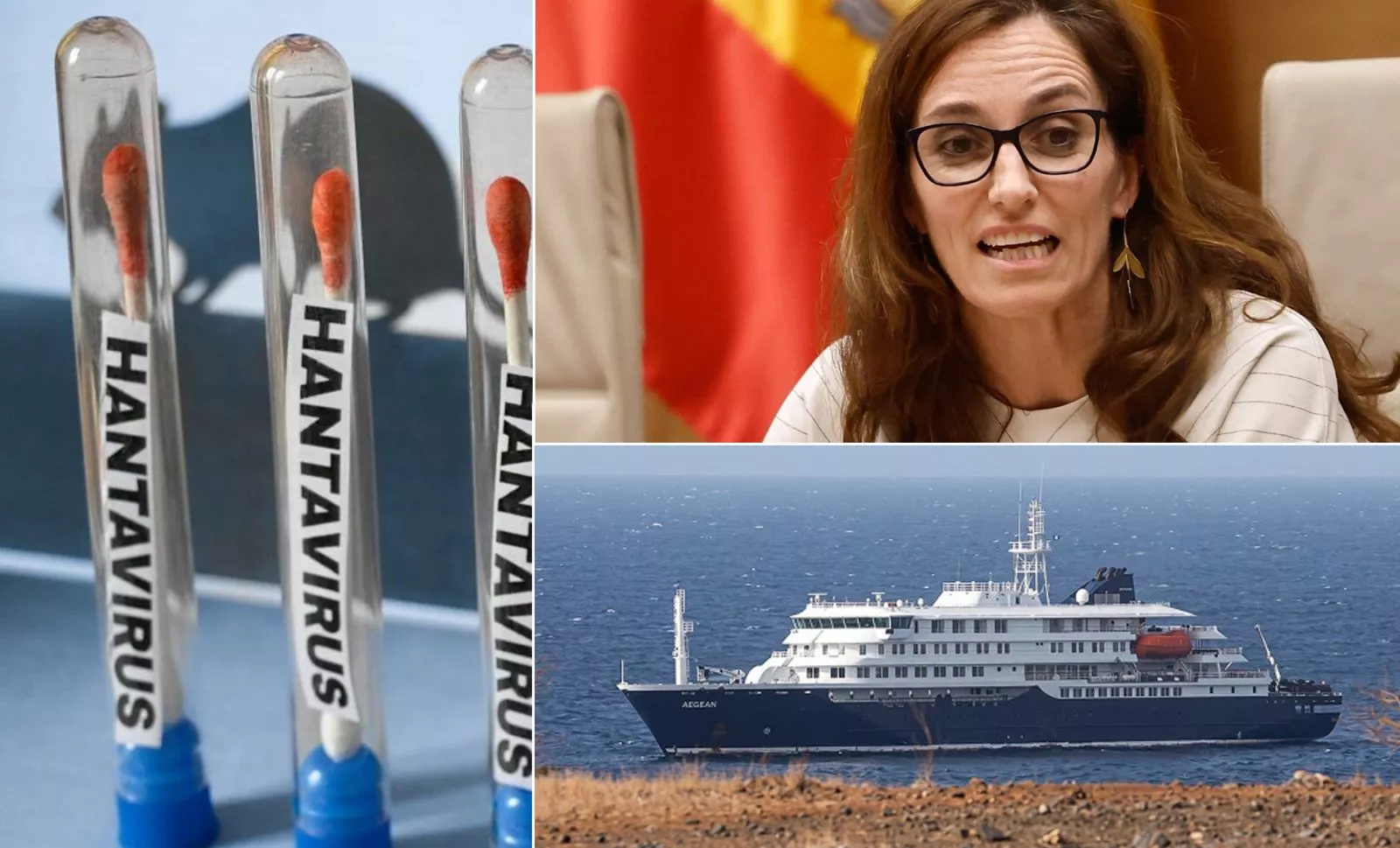 Un informe alerta del “grave daño reputacional” para Canarias por la crisis del 'MV Hondius'. / AH