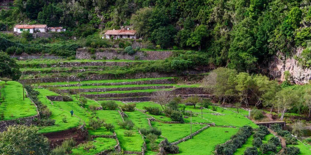 Imagen del Caserío El Cedro / TURISMO DE LA GOMERA