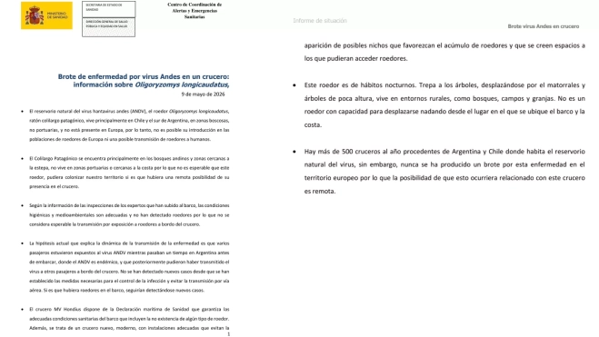 Informe del Ministerio de Sanidad remitido al Gobierno de Canarias. / AH