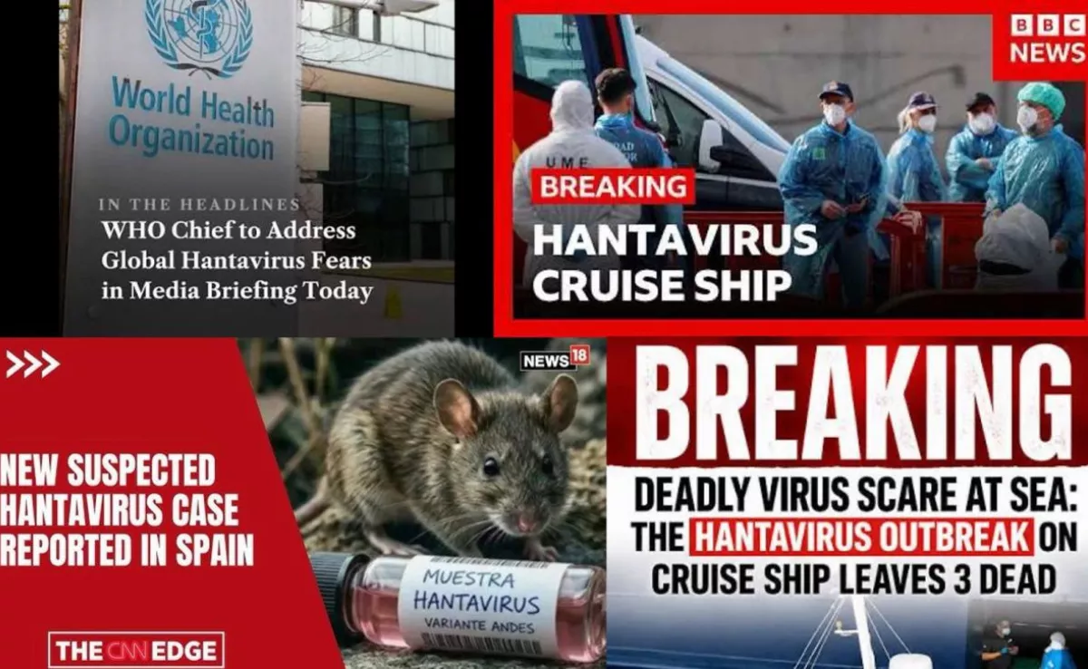 Imagen alusiva al hantavirus en Tenerife. / SERVIMEDIA