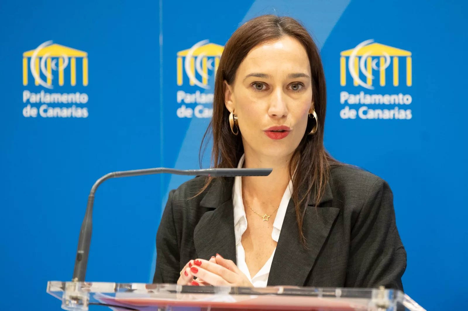 La diputada socialista Nira Fierro. / CEDIDA