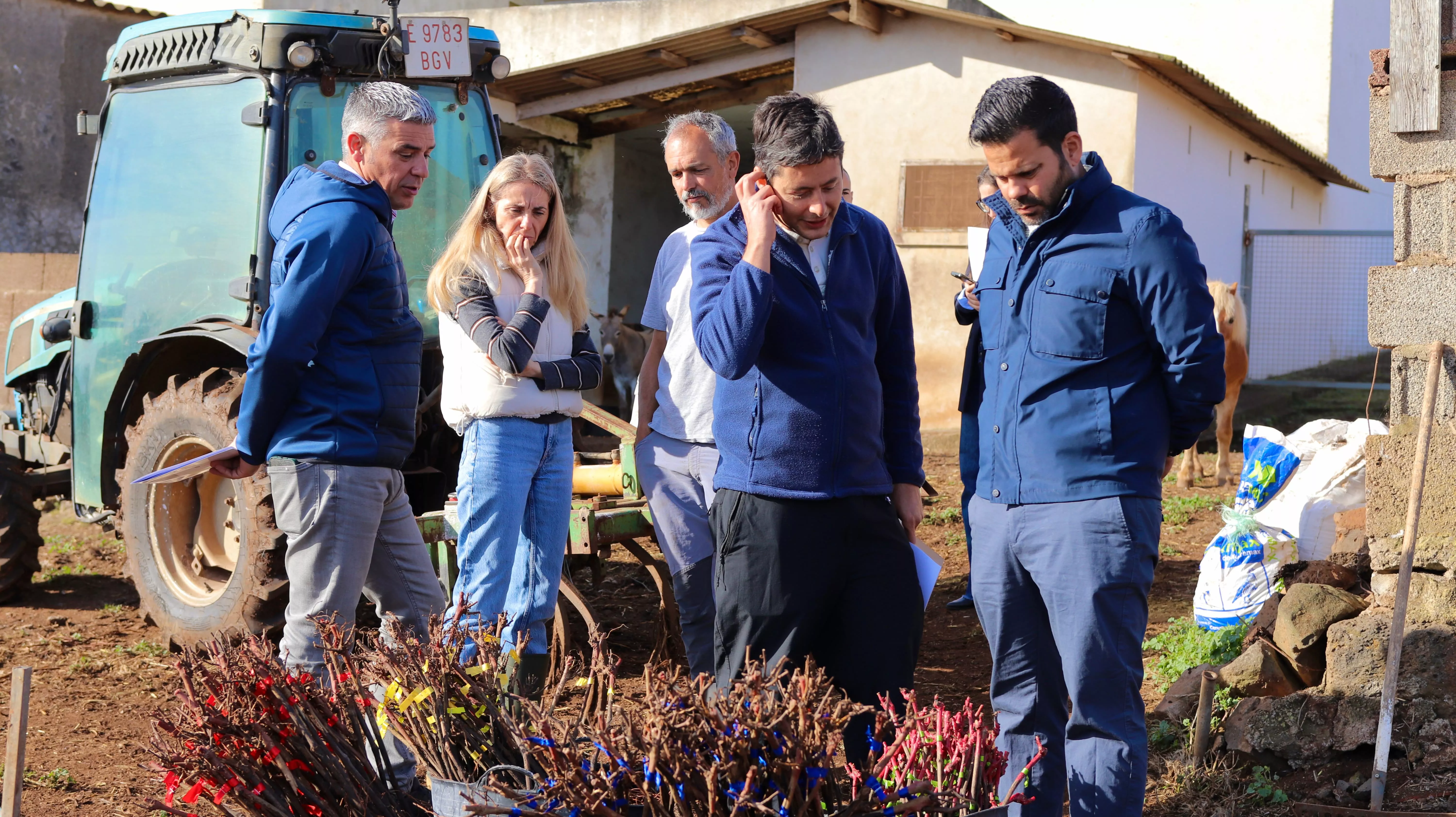 Canarias prueba vides resistentes a la filoxera para proteger el futuro del vino de Tenerife. AH