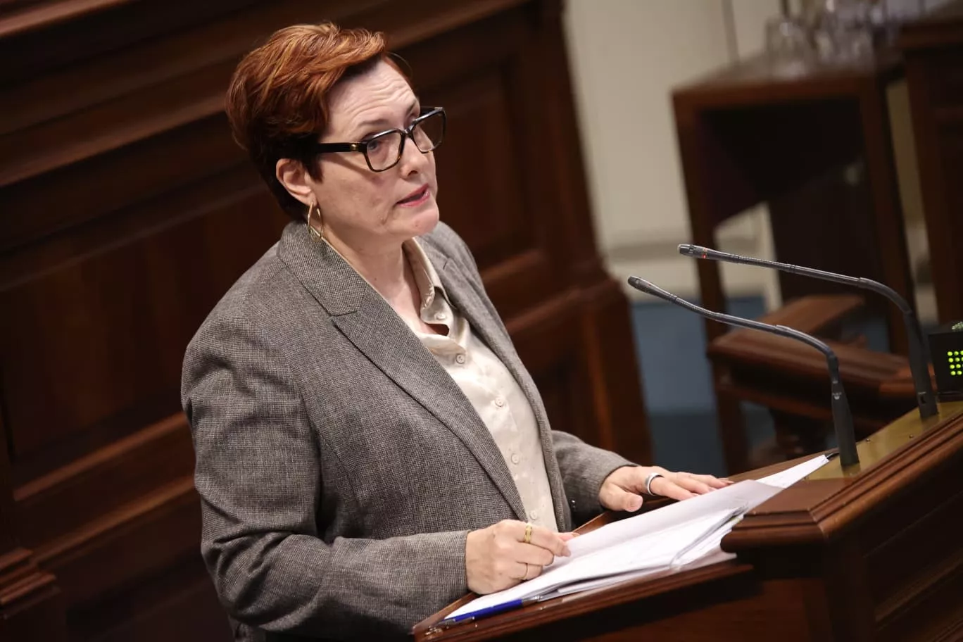 La consejera de Bienestar Social del Gobierno de Canarias, Candelaria Delgado. / CEDIDA