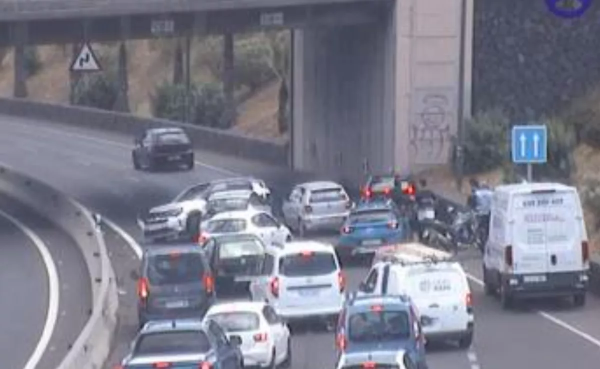 Accidente en la TF2. / CÁMARAS DE LAS CARRETERAS DEL CABILDO DE TENERIFE