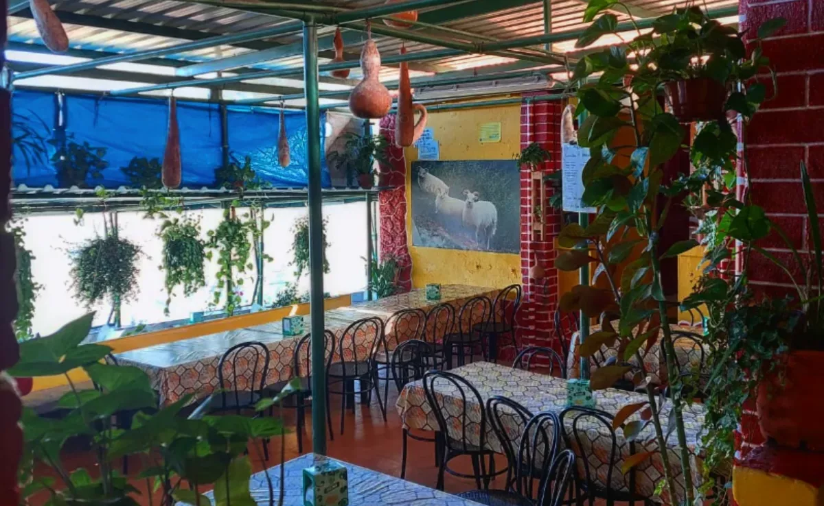 Imagen del guachinche Los Gómez / LOS GÓMEZ