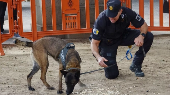 Imagen de un miembro de la Unidad Canina de la Policía Local / AYUNTAMIENTO DE SANTA CRUZ DE TENERIFE Imagen de un miembro de la Unidad Canina de la Policía Local / AYUNTAMIENTO DE SANTA CRUZ DE TENERIFE