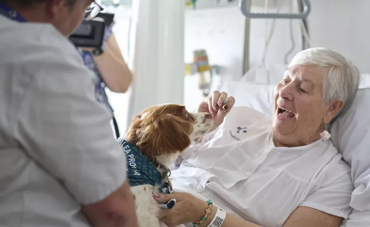 Imagen de una persona ingresada en el hospital recibiendo la visita de un perro / EFE