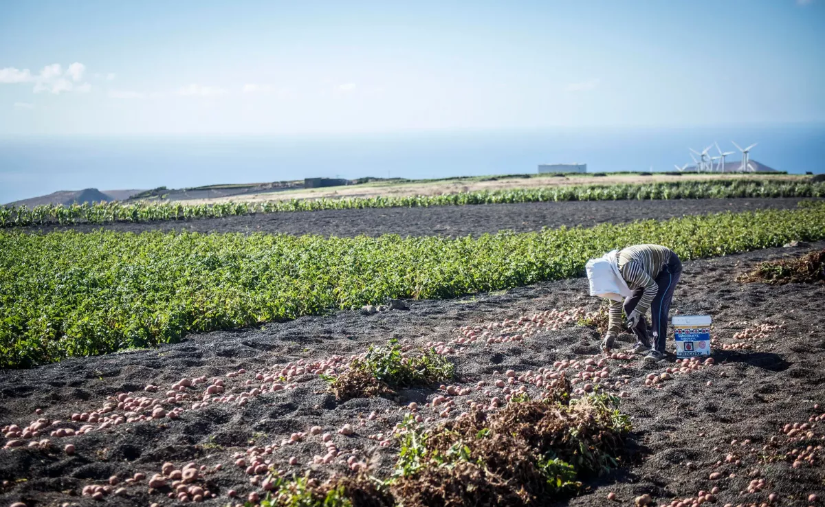 Imagen de un agricultor / EFE Imagen de un agricultor / EFE