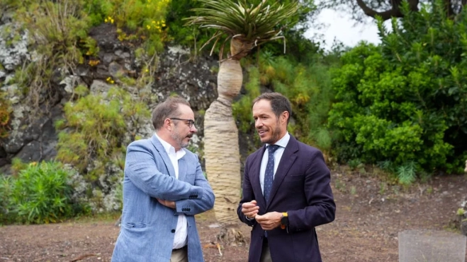 Transición Ecológica y Cabildo presentan el Plan de Recuperación del drago de Gran Canaria. AH Transición Ecológica y Cabildo presentan el Plan de Recuperación del drago de Gran Canaria. AH