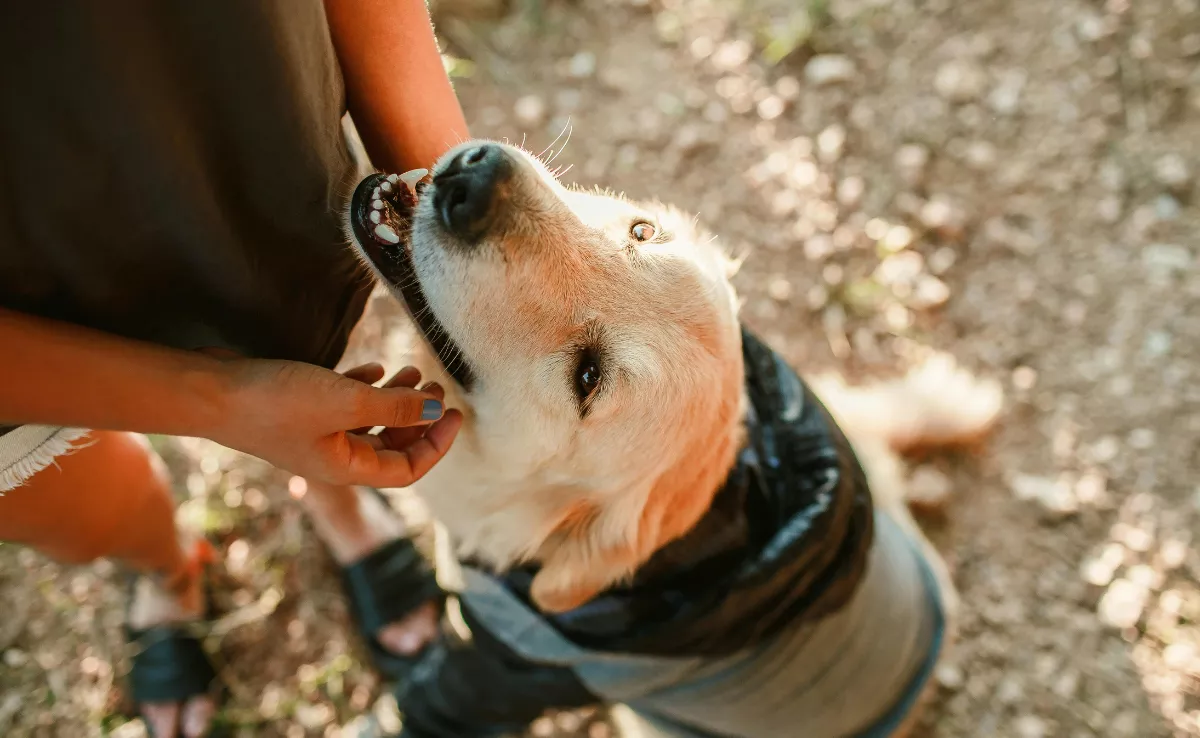 Imagen de una persona con su mascota / CANVA