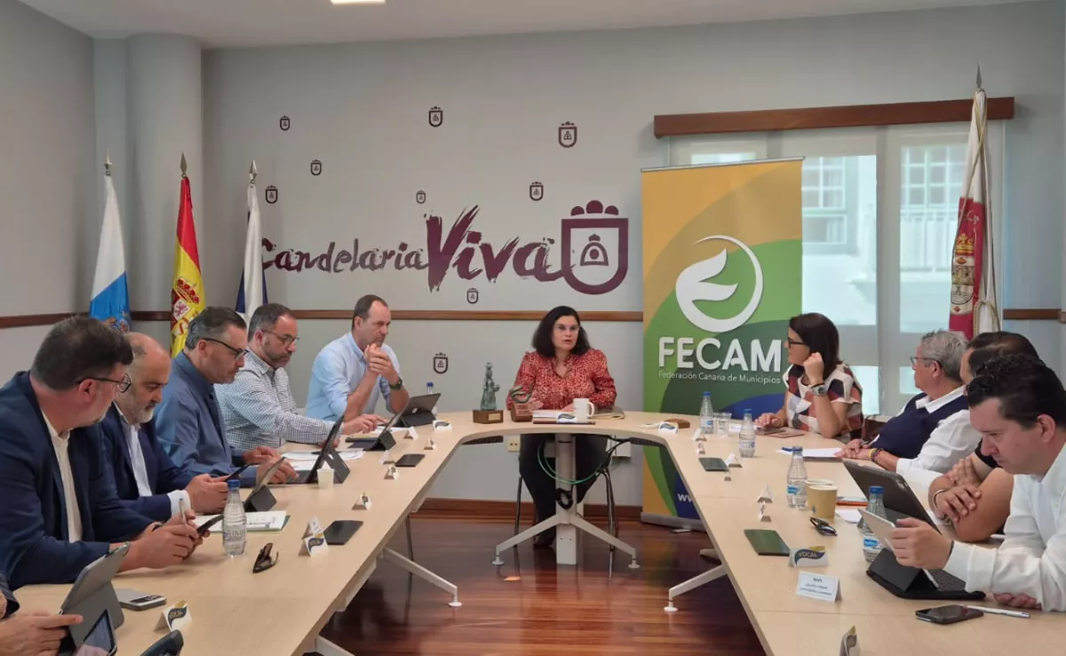 Reunión de la Fecam. 