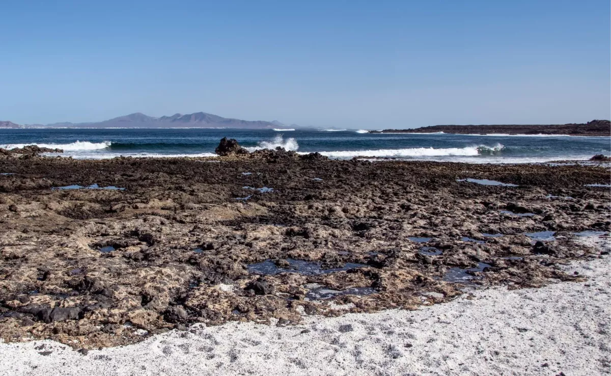 Imagen de una playa de Fuerteventura donde se encuentran los rodolitos / FRED OLSEN