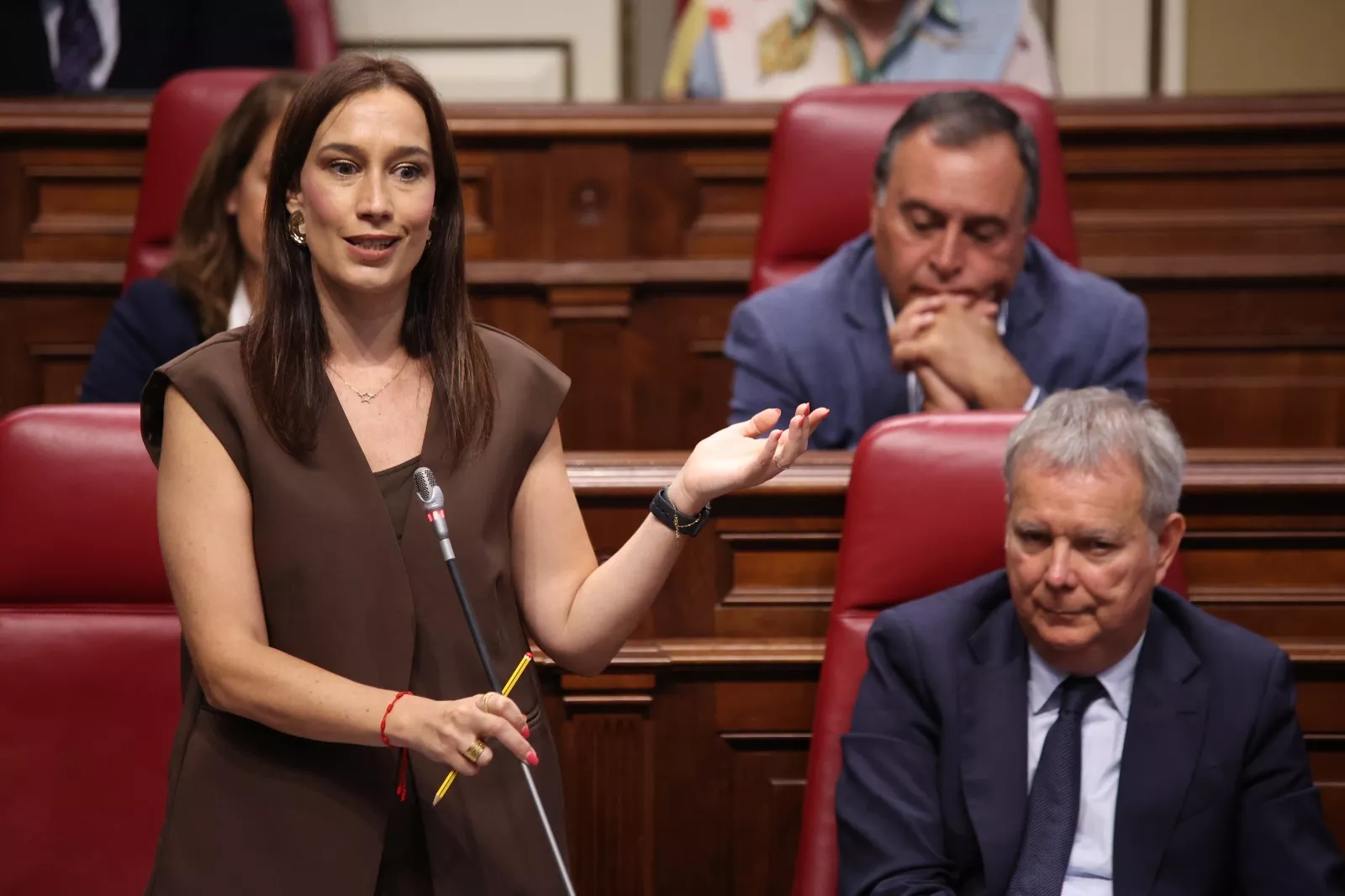 La diputada del PSOE en el Parlamento de Canarias, Nira Fierro. / PSOE