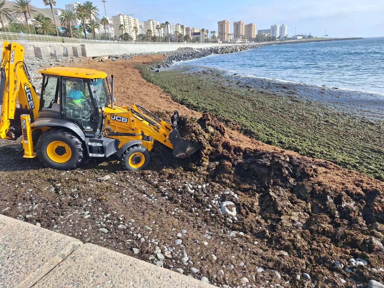 Retirada de algas en la zona de San Cristóbal de Las Palmas de Gran Canaria. AYUNTAMIENTO LPA