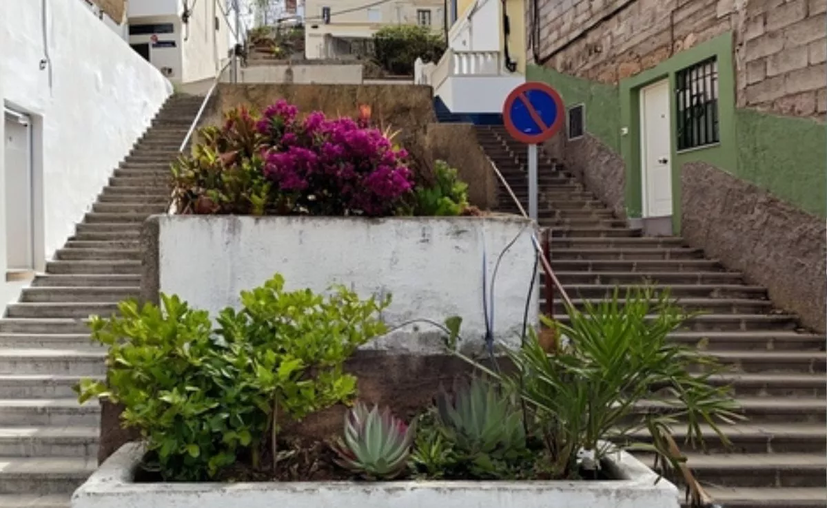 Imagen de jardineras de Valleseco incluida en la petición vecinal|AYUNTAMIENTODESANTACRUZ