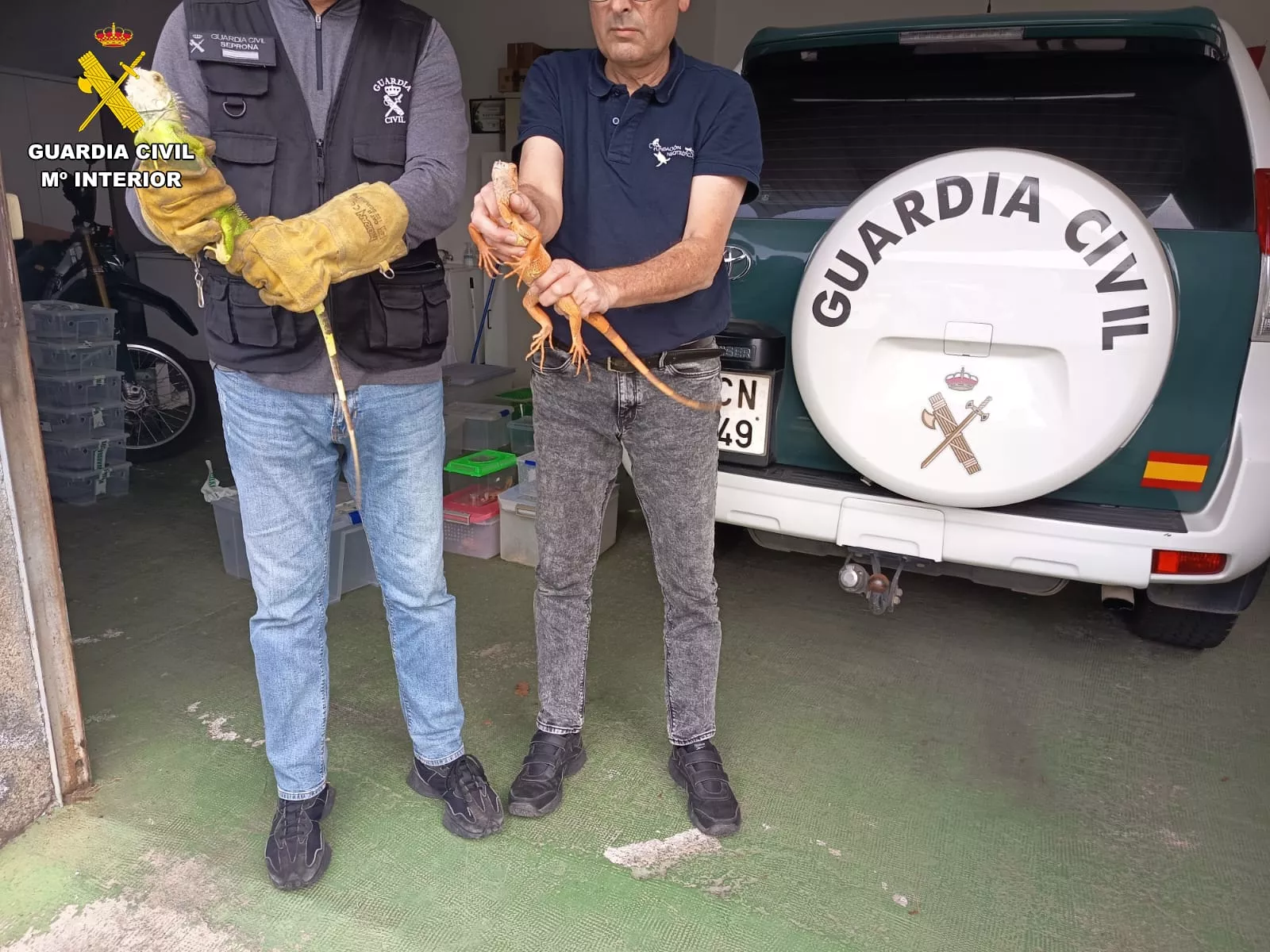 La Guardia Civil interviene 19 animales exóticos en una vivienda de Santa Brígida. / GUARDIA CIVIL