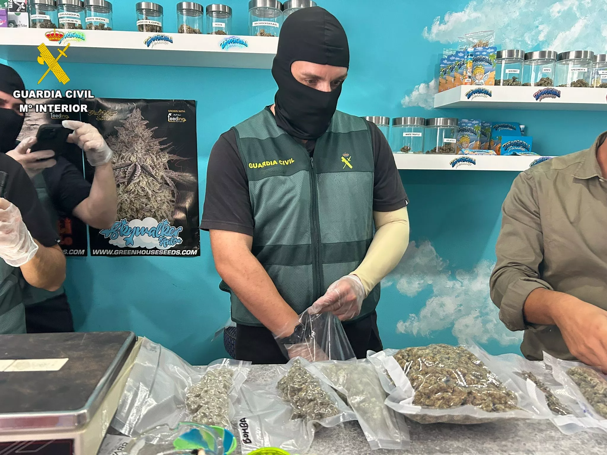 La Guardia Civil desmantela un club cannábico que presuntamente vendía droga a turistas en Los Abrigos. / GUARDIA CIVIL