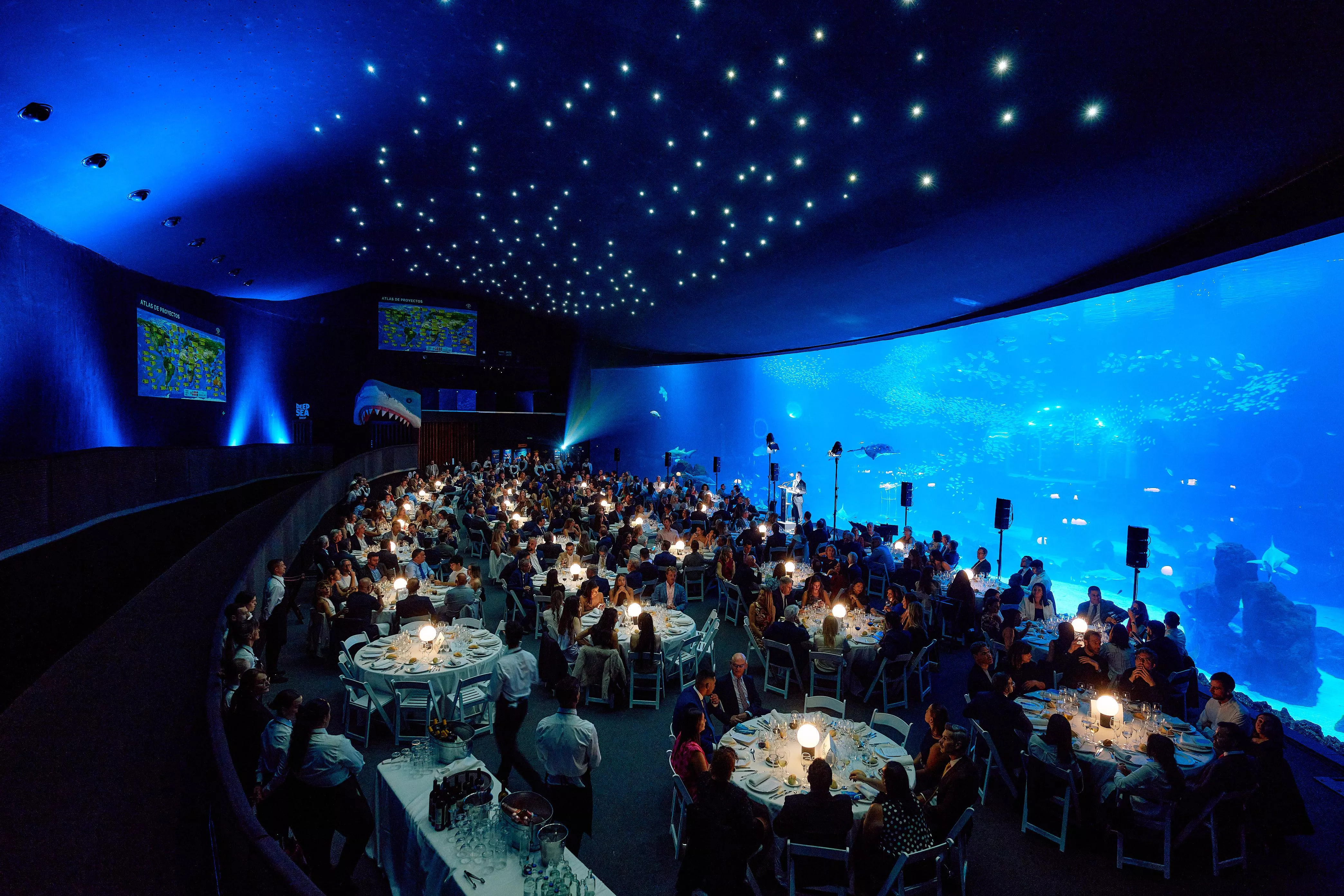 Más de 400 personas se dan cita en Poema del Mar en una gala para la protección de los océanos y la biodiversidad marina. AH
