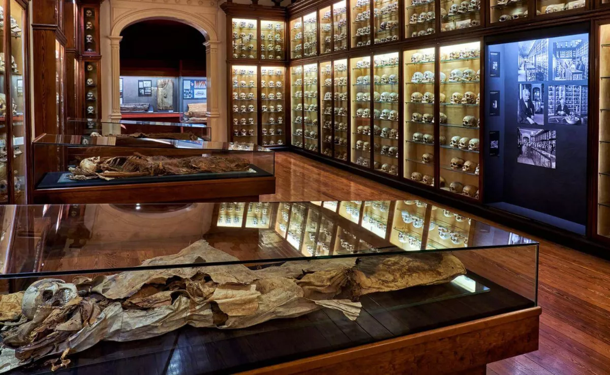 Sala del Museo Canario / HOLA ISLAS CANARIAS