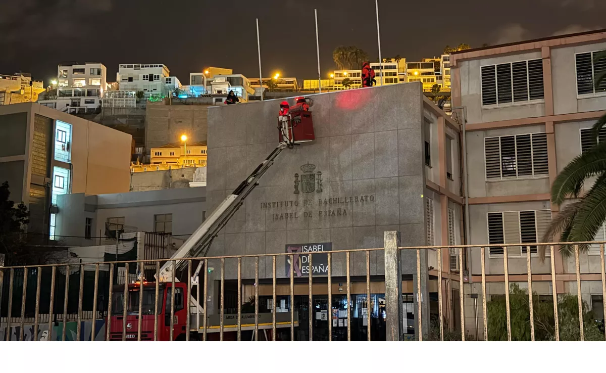 Equipos trabajando en la retirada del nido de avispa asiática en Las Palmas de Gran Canaria / GOBIERNO DE CANARIAS