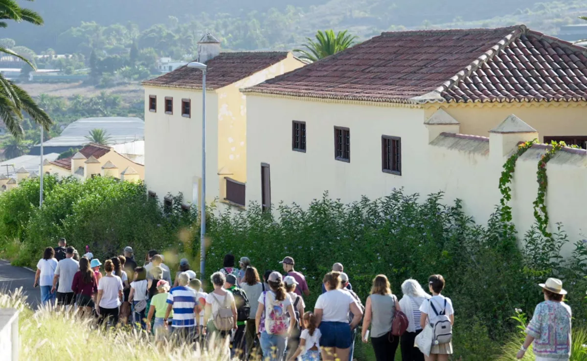 Imagen de una edición de La Laguna a pie / AYUNTAMIENTO DE LA LAGUNA