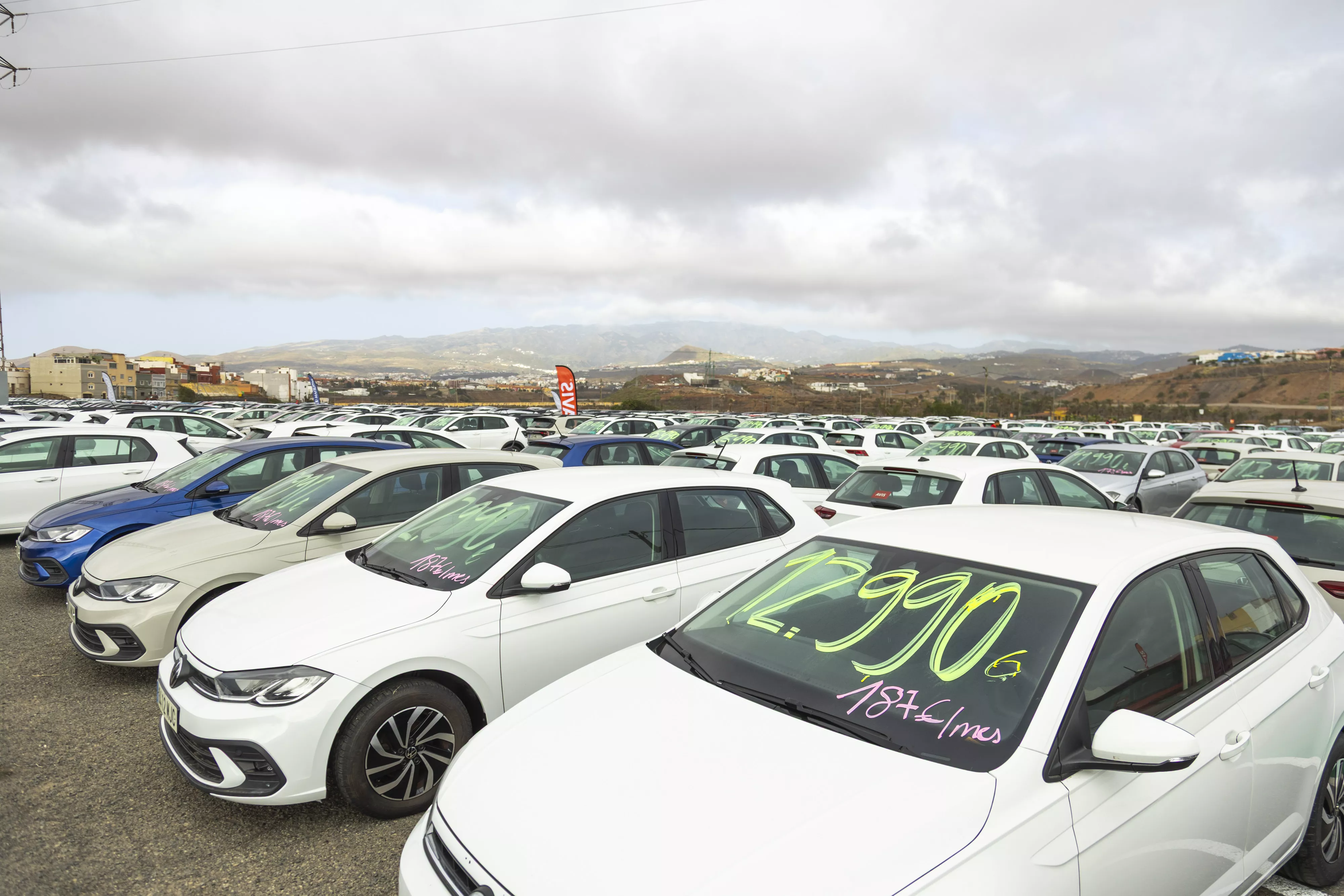 Feria AVIS Canarias 2026   La Pardilla. / AVIS