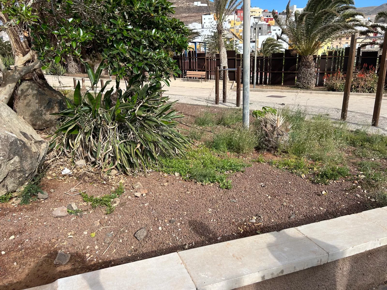 El PSOE de Gáldar denuncia el deterioro de parques, jardines y espacios públicos en los barrios del municipio. AH