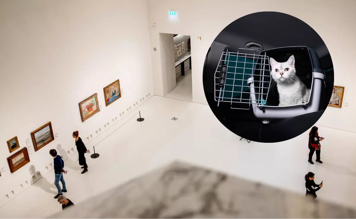 Un museo y un gato. / IMAGEN DE LA RED