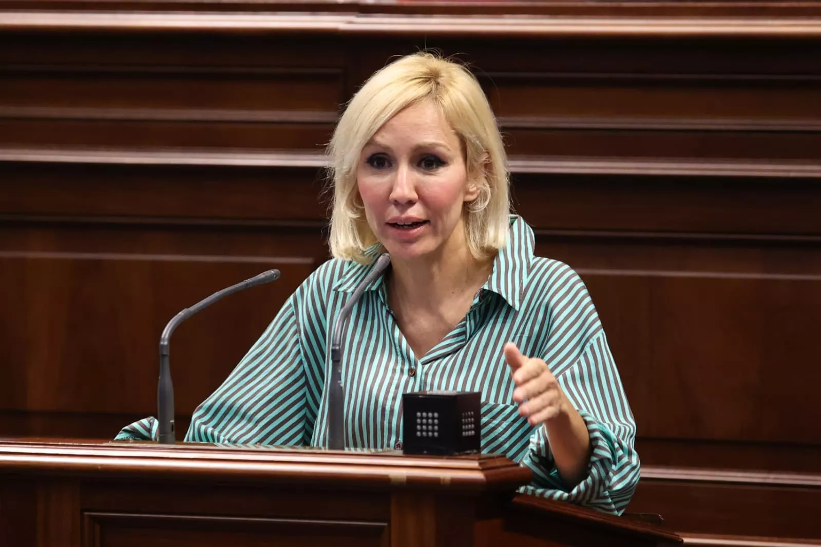  La diputada del Partido Popular, Rebeca Paniagua. / PARTIDO POPULAR