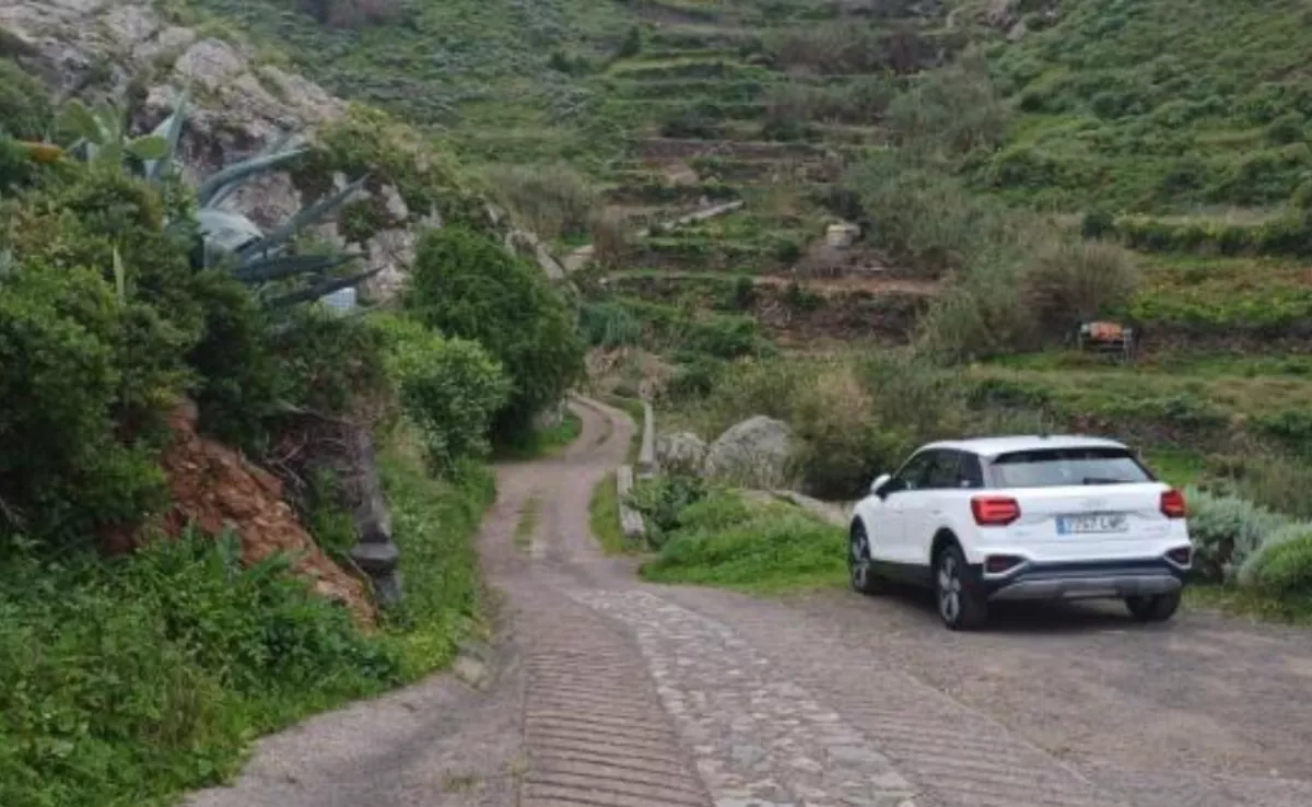 Pista entre Afur y Lomo Centeno, en Anaga./ CABILDO DE TENERIFE