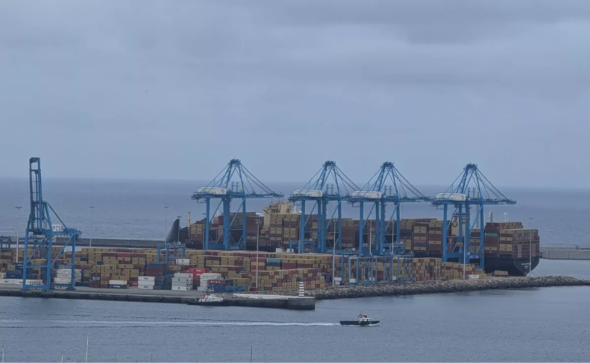 El buque 'MSC San Francisco', en la terminal de Opcsa, durante la operativa con las cuatro más grandes que tiene el Puerto de Las Palmas. / AH