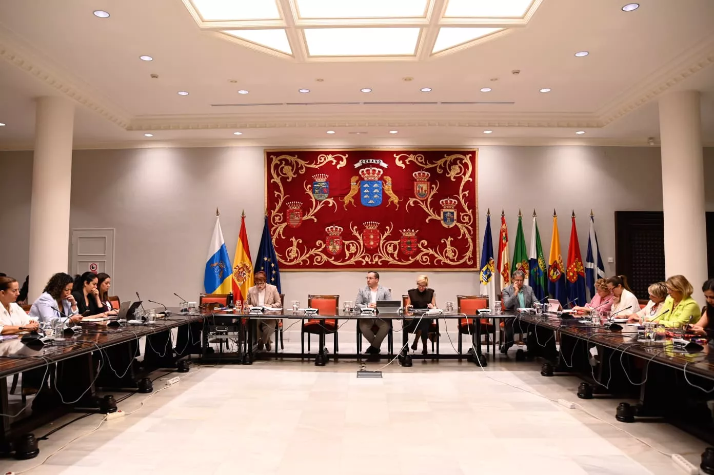 Comisión de Derechos Sociales en el Parlamento de Canarias. / CEDIDA 