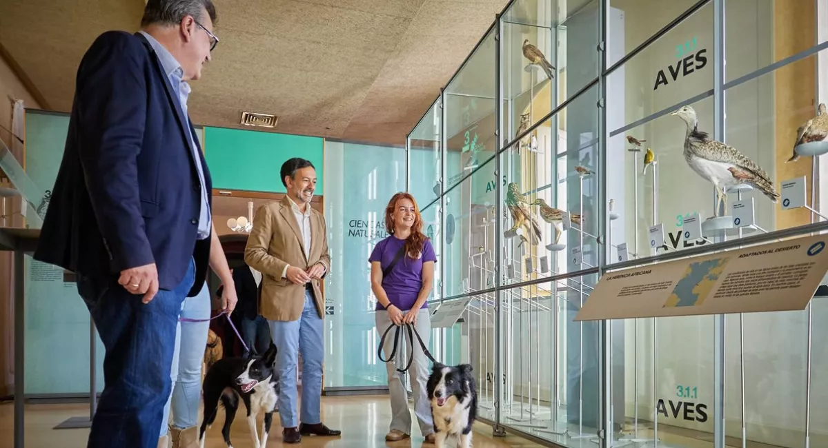Imagen de mascotas en el museo / CABILDO DE TENERIFE