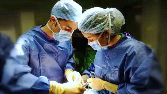 Dos profesionales del IMICC practican una cirugía / CEDIDA