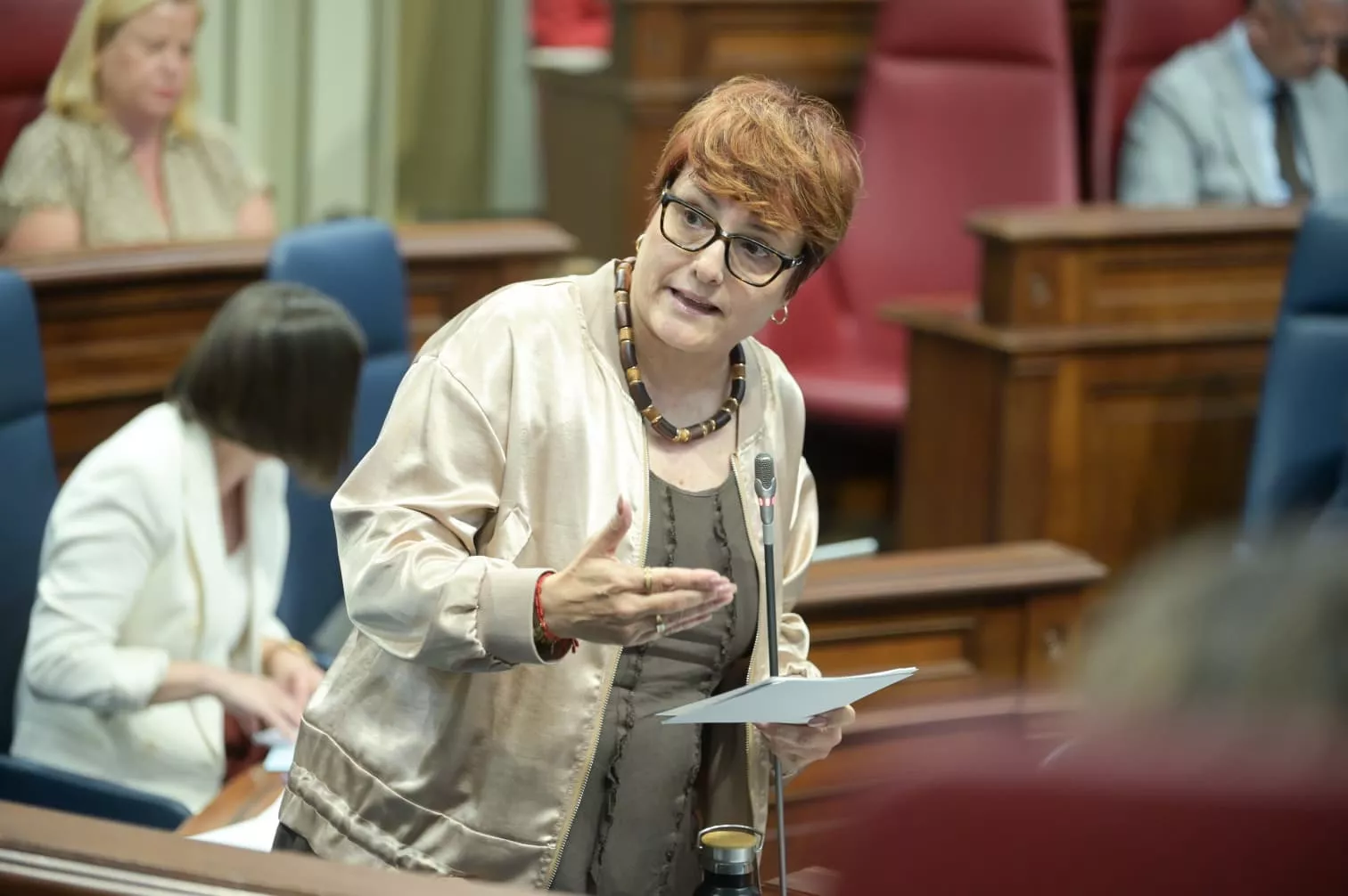 Candelaria Delgado, consejera de Bienestar Social. / GOBIERNO DE CANARIAS