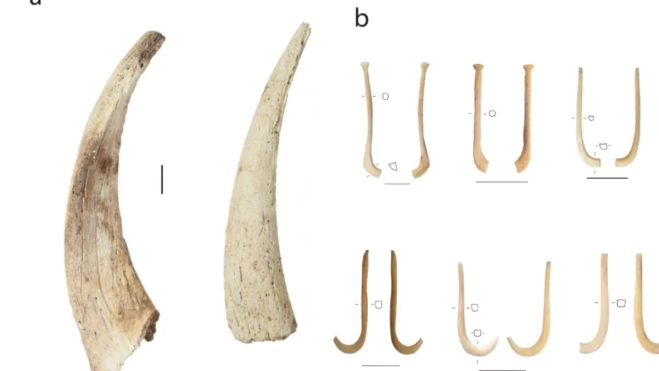 Imágenes de las herramientas encontradas en el yacimiento, como cuernos de cabras y anzuelos con colmillos de cerdo / AH
