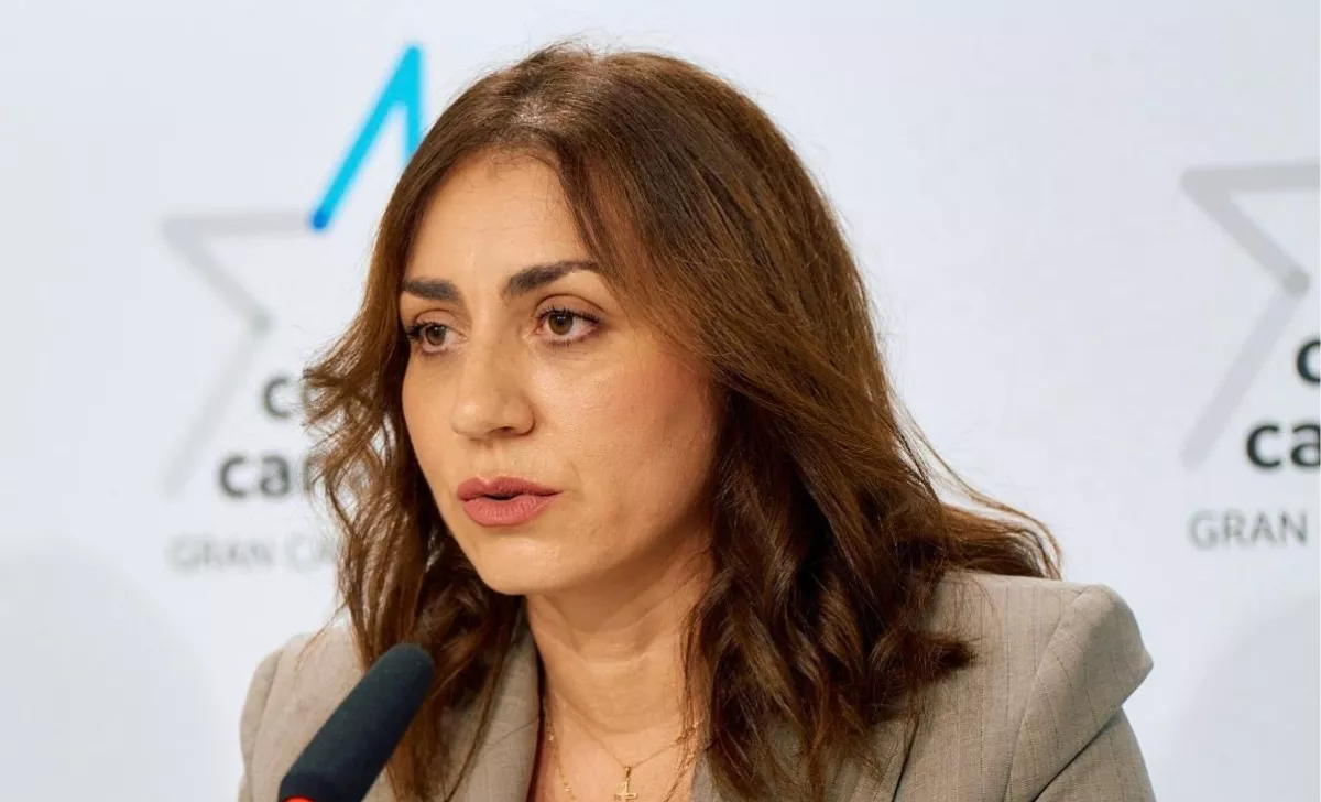 Vidina Cabrera, portavoz de CC en el Cabildo de Gran Canaria / CC