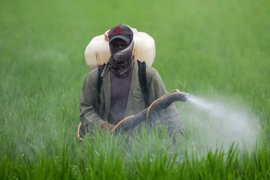 Un trabajador agrícola rocía fertilizante en un campo de cultivo. / EFE/EPA/FAZRY ISMAIL