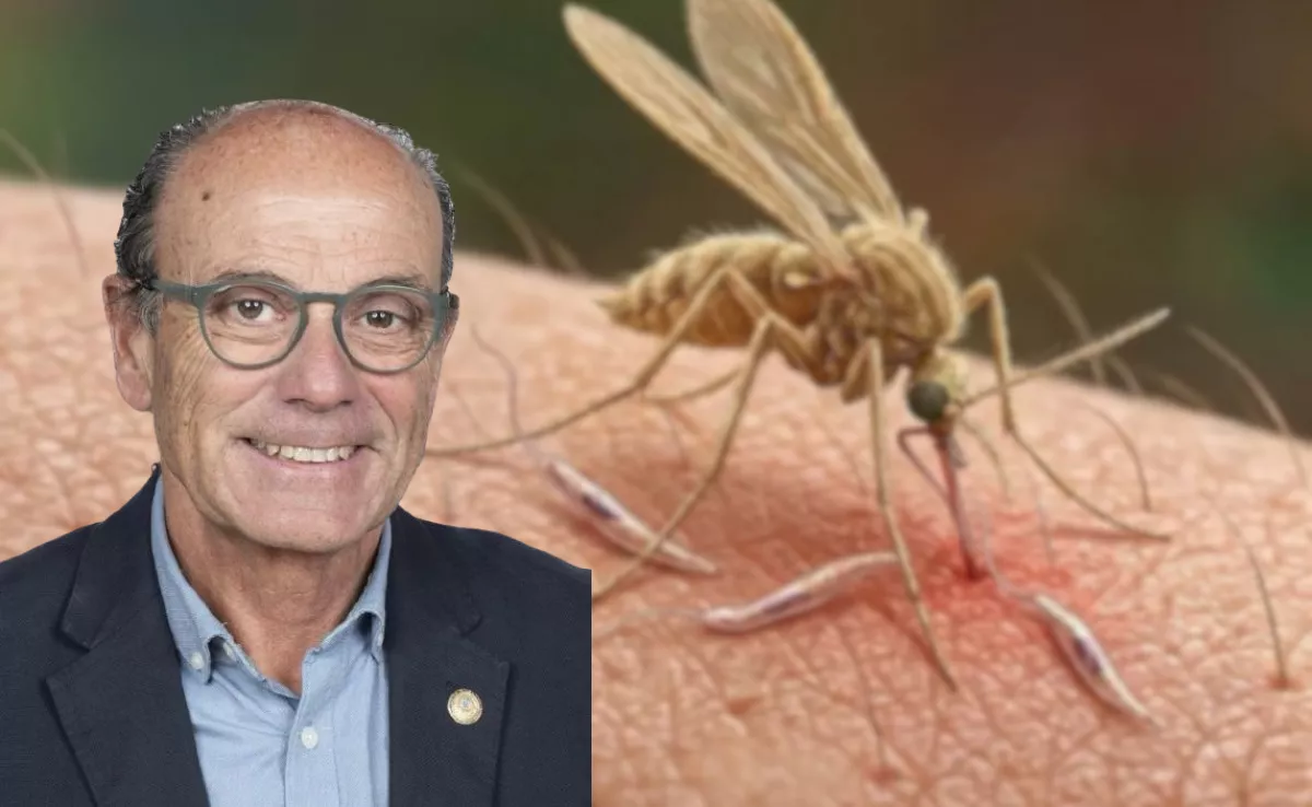Alberto Montoya, científico que ha descubierto lehismaniosis autóctona en Canarias./ MONTAJE AH