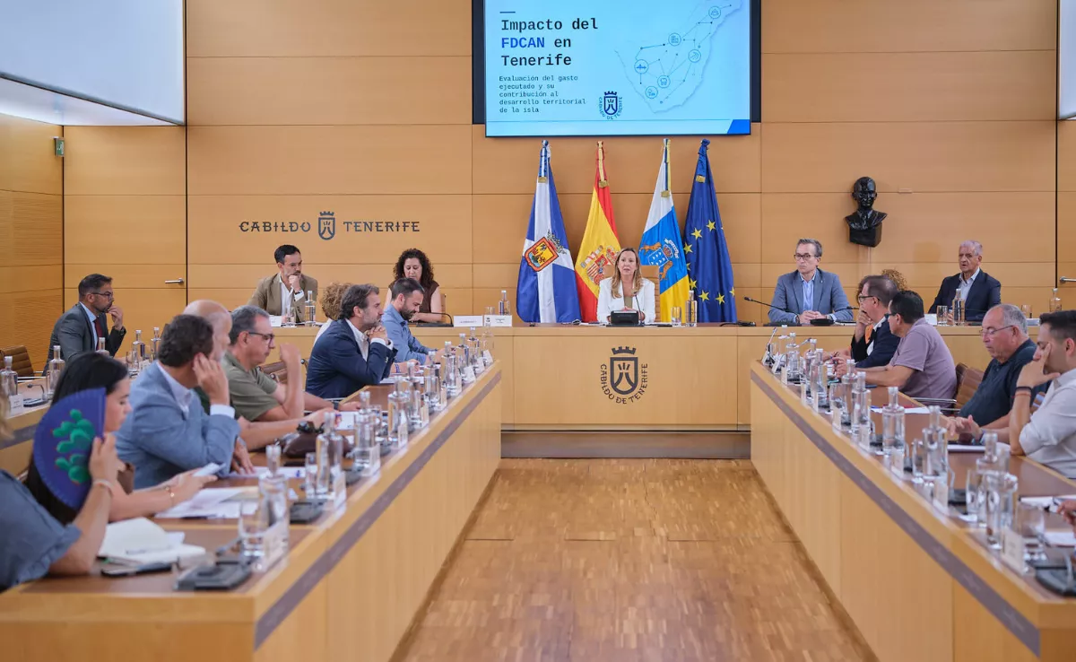 Reunión del Consejo Insular de Administración Territorial de Tenerife (Ciatt) / CABILDO DE TENERIFE
