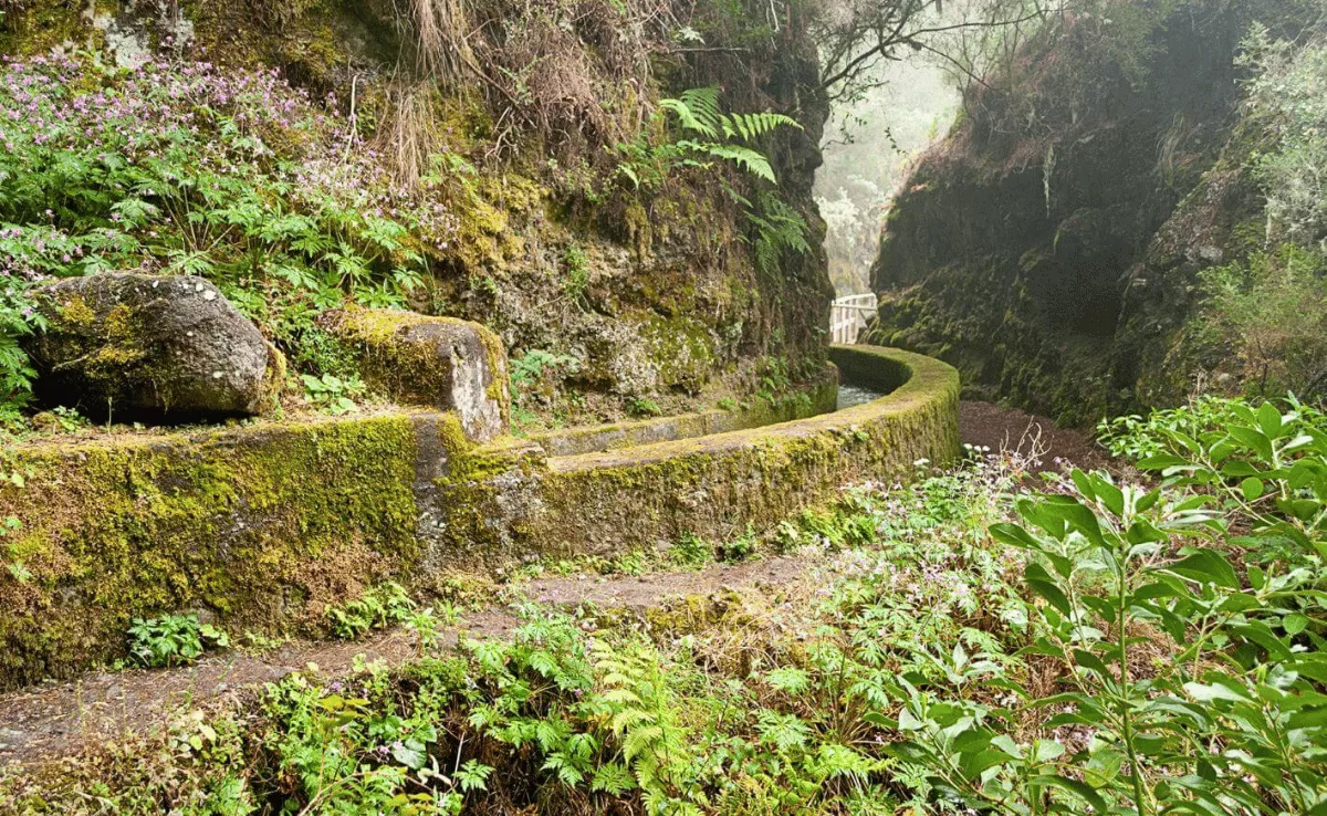 Imagen de parte de la ruta de Marcos y Cordero de La Palma / TURISMO DE LA PALMA